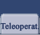 Teleoperacion