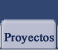 Proyectos en curso